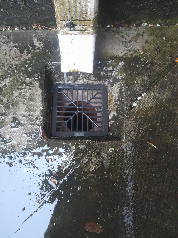 HedgeHogs Drain Cleaning-After HedgeHogs Drain Cleaning-After