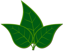 HedgeHogs-GroundsCare-Leaves